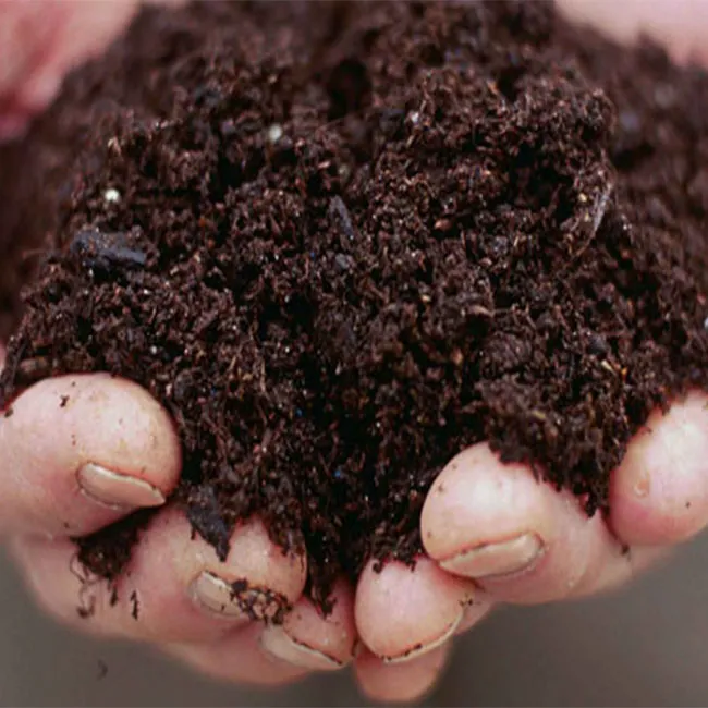 خاک پوششی پاستوریزه پرورش قارچ